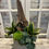 Miniature : Jardin de plantes artificielles nu:4.