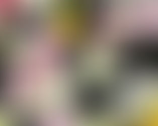 Spring Monthly Theme