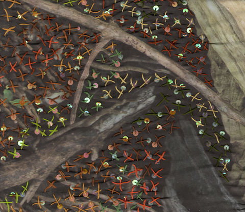 Fiber art wall hanging of a fallen tree covered in embroidery by Miami artist Pangea Kali Virga.