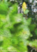 Thumbnail: Tide-Risen Belly Of A Mangrove God Wall Hanging