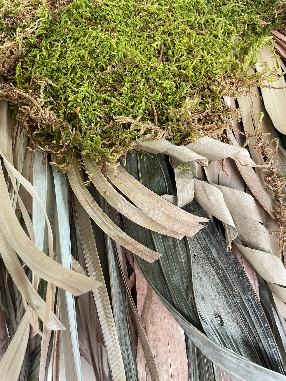 Thumbnail: The Moss Shawl