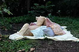 So+Soft+Installation7 emily peters.webp