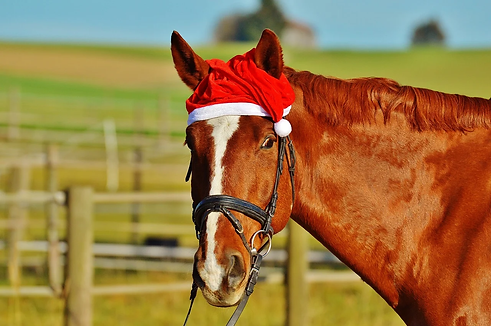 Chapeau de Noël.webp