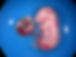 DSCN0961.JPG