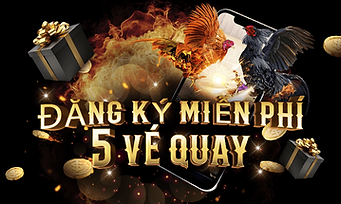 ĐĂNG KÝ 5 pro.png
