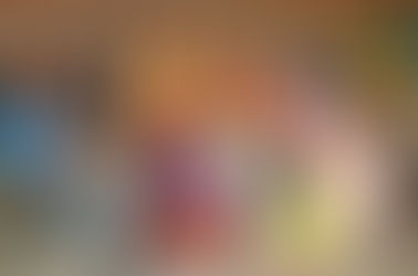 Reading With Shepherd Daisy Community Outreach Recap