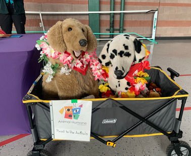Paws, Pages, and Progress: The Magic of Reading With Shepherd Daisy
