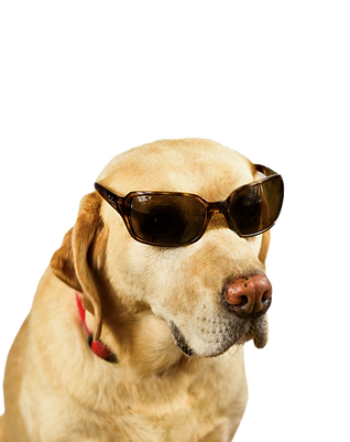 _AG09388-9_edited.png