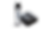 dityspray.png