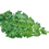 Thumbnail: Rau cải Kale 35 ngày tuổi (1 kg/ 2 túi) đặt trước 35 ngày