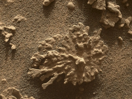 Curiosity phát hiện đá giống san hô, củng cố dự đoán có nước và sự sống trên sao Hỏa