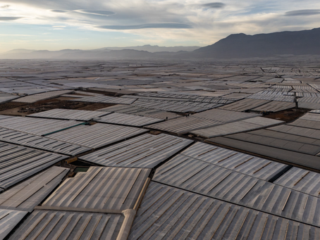 Vườn rau khổng lồ 3,5 triệu tấn, có thể nhìn thấy từ không gian