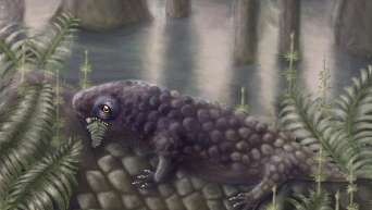 Phát hiện mới về loài động vật bốn chân đầu tiên ăn thực vật