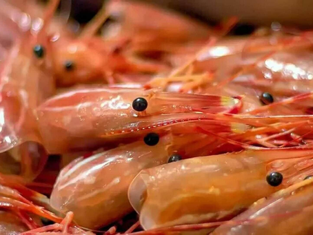 Chitin là gì? Vai trò và những thông tin cần biết