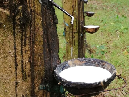 HCOOH là chất gì? Đặc điểm nổi bật, ứng dụng cùng lưu ý cần biết