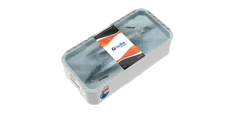 Hình thu nhỏ: Thùng xốp cá hồi Châu Âu Hà Nội