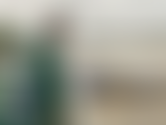 Nhiều tiến sĩ bất lực: Cá chết la liệt trong lũ, nhiều hộ dân đứng trước viễn cảnh trắng tay