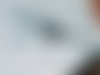 Các nhà khoa học phát triển robot có thể đi trên mặt nước