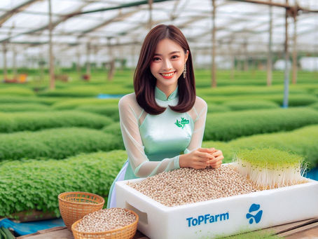 Topfarm hướng dẫn làm giá đỗ không cần tưới nước bằng hình ảnh