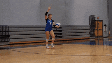 IMG_8020.GIF