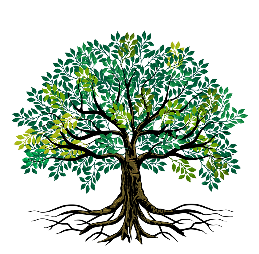Strength Tree