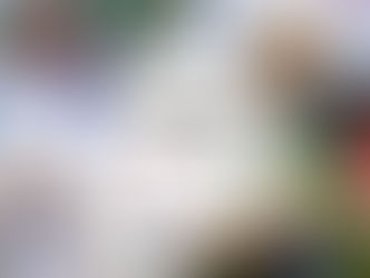 Powołania do Kadry Narodowej 