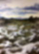 IMG_0515.jpeg