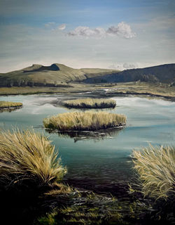 Near the Mountain Centre on Mynydd Illtyd