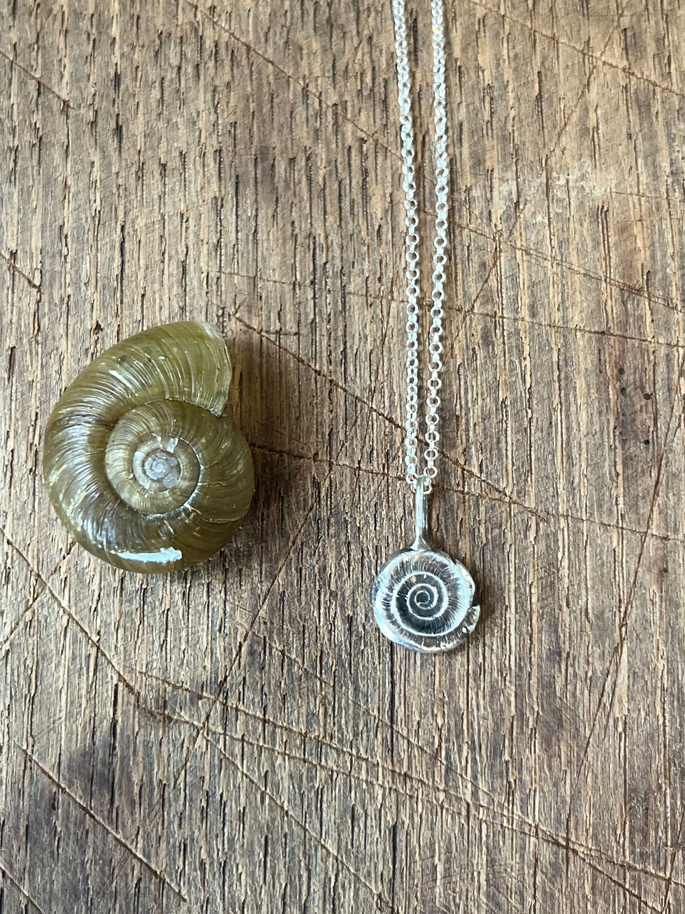 Thumbnail: Land snail shell fossilized into fine silver
