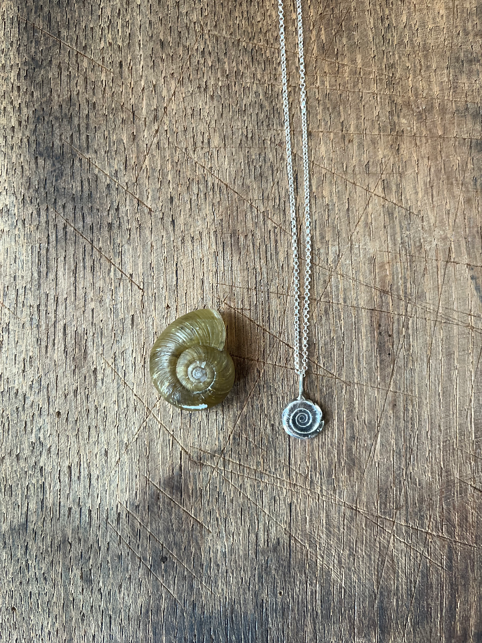 Land snail shell fossilized into fine silver