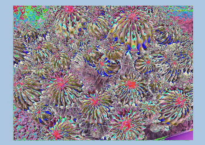 A79346E5-8BB4-4724-AB9A-AA9EDC1619AC.jpe