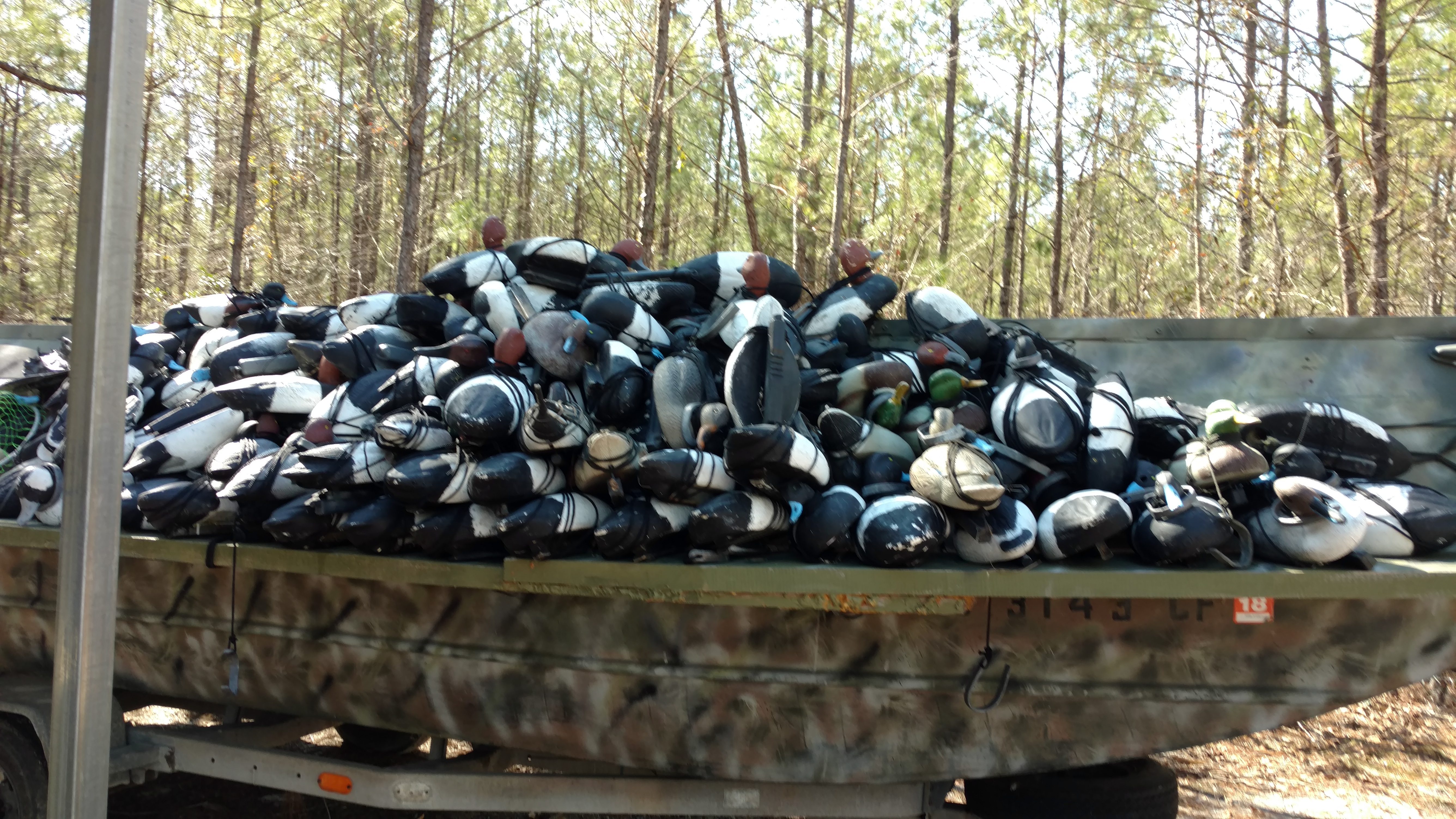 Decoys