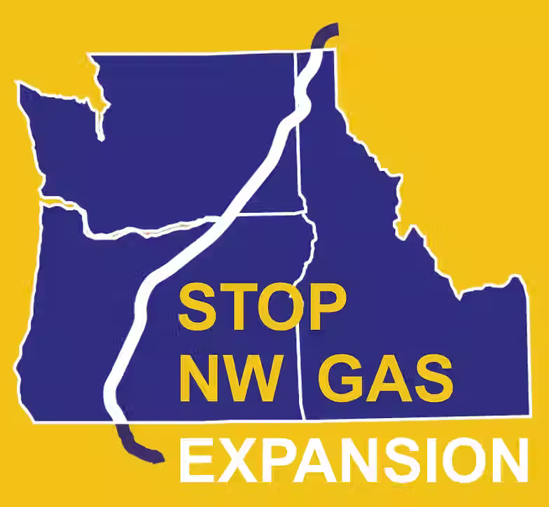 Stop NW Gas Presents - "The Monster in the House: Untold Dangers of Toxic Natural Gas."