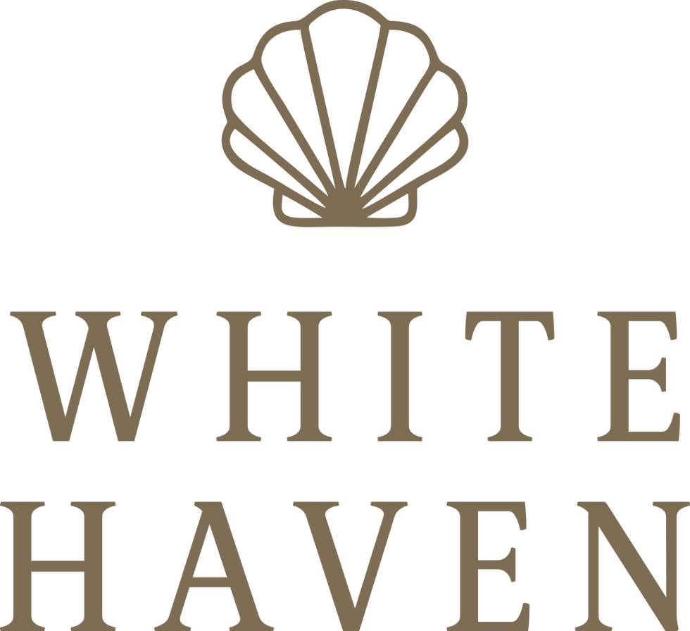 Logo with shell.png