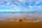 IMG_5152.jpeg
