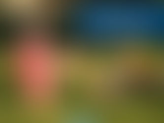 Thank you, we Remember on this Memorial Day