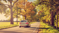 Auto Insurance