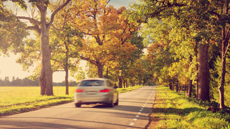 Auto Insurance