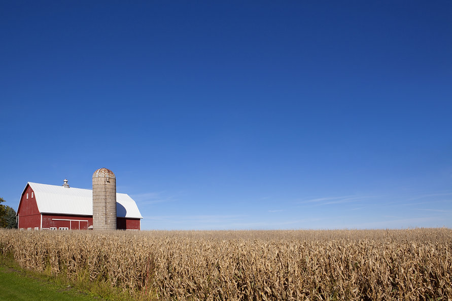 Scenic Farm Land - Minnesota.jpeg