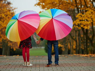 Excess or Umbrella Liability