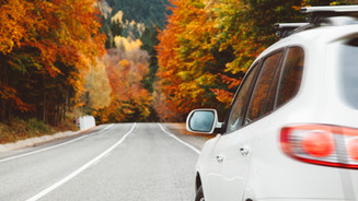 Auto Insurance