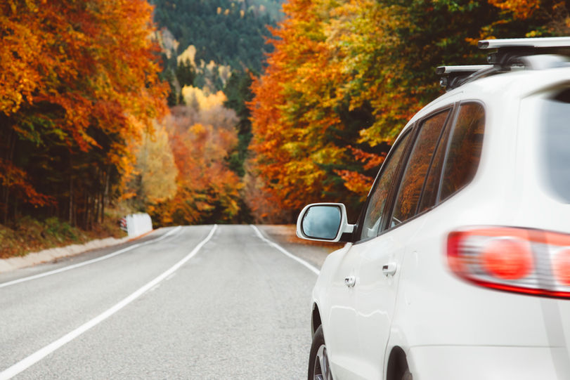 white car on road in autumn