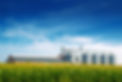 GrainSilos_AS.jpeg