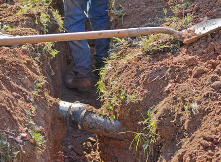 Service Line Coverage (Optional)