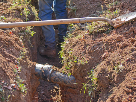 Service Line Coverage (Optional)
