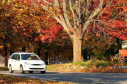 white_car_autumn_road.jpeg