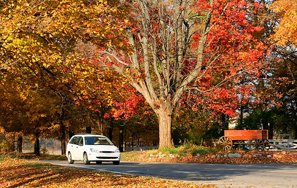 white_car_autumn_road.jpeg