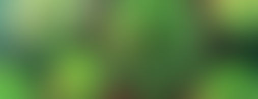 What You Need to Know About the Coronavirus (COVID-19)