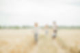 Happy family run in wheat field in sunny day.jpeg