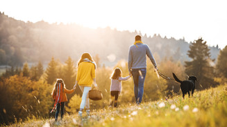 Life Insurance